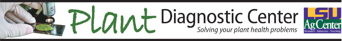 PDC Banner2jpg.jpg thumbnail